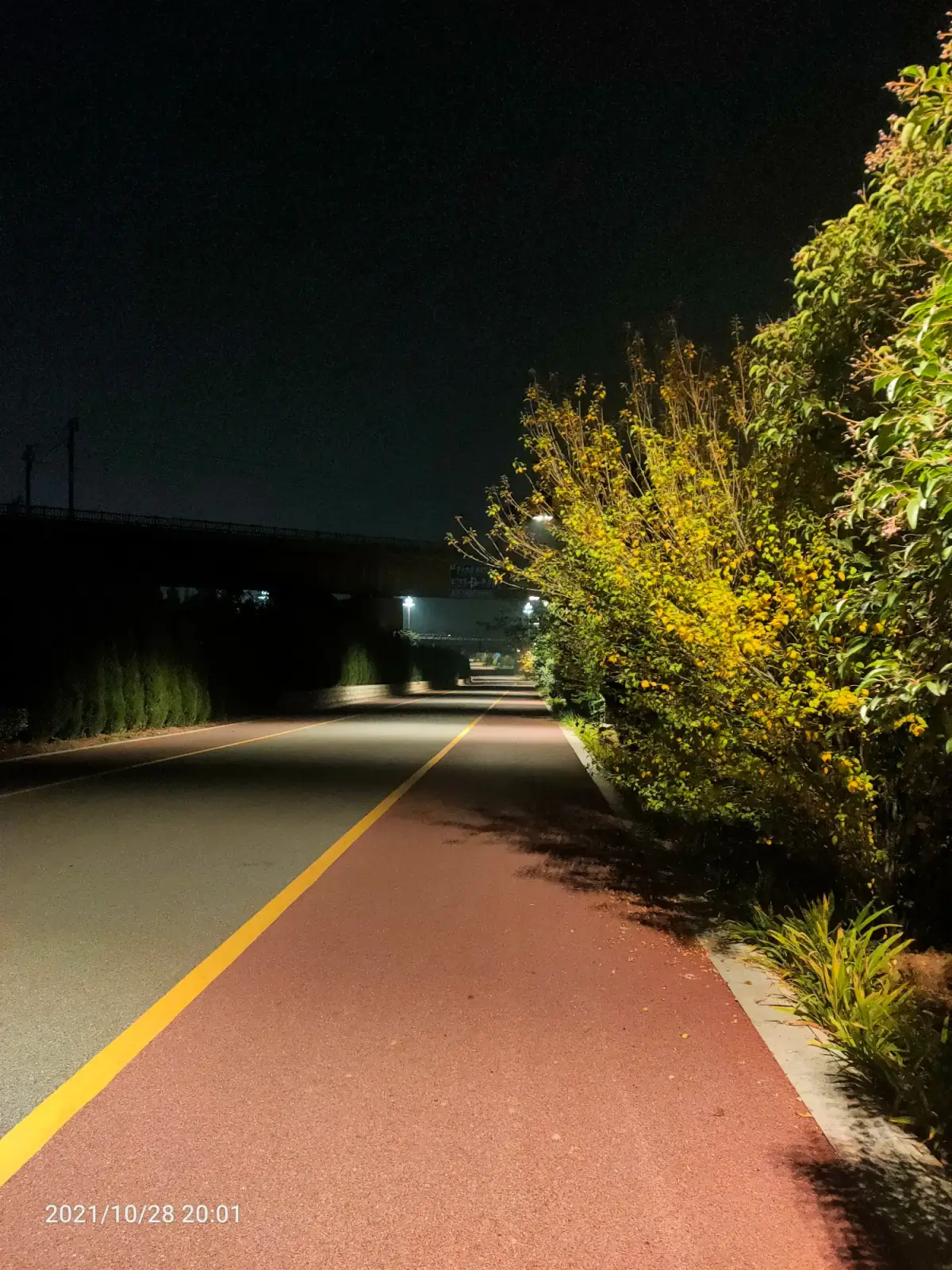 2021-10-28-29(出红薯,静心,锻炼,告别)