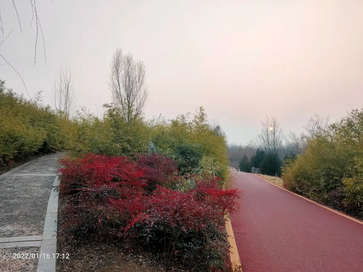 2022-01-15-16(去关林,去检查,去河滩)