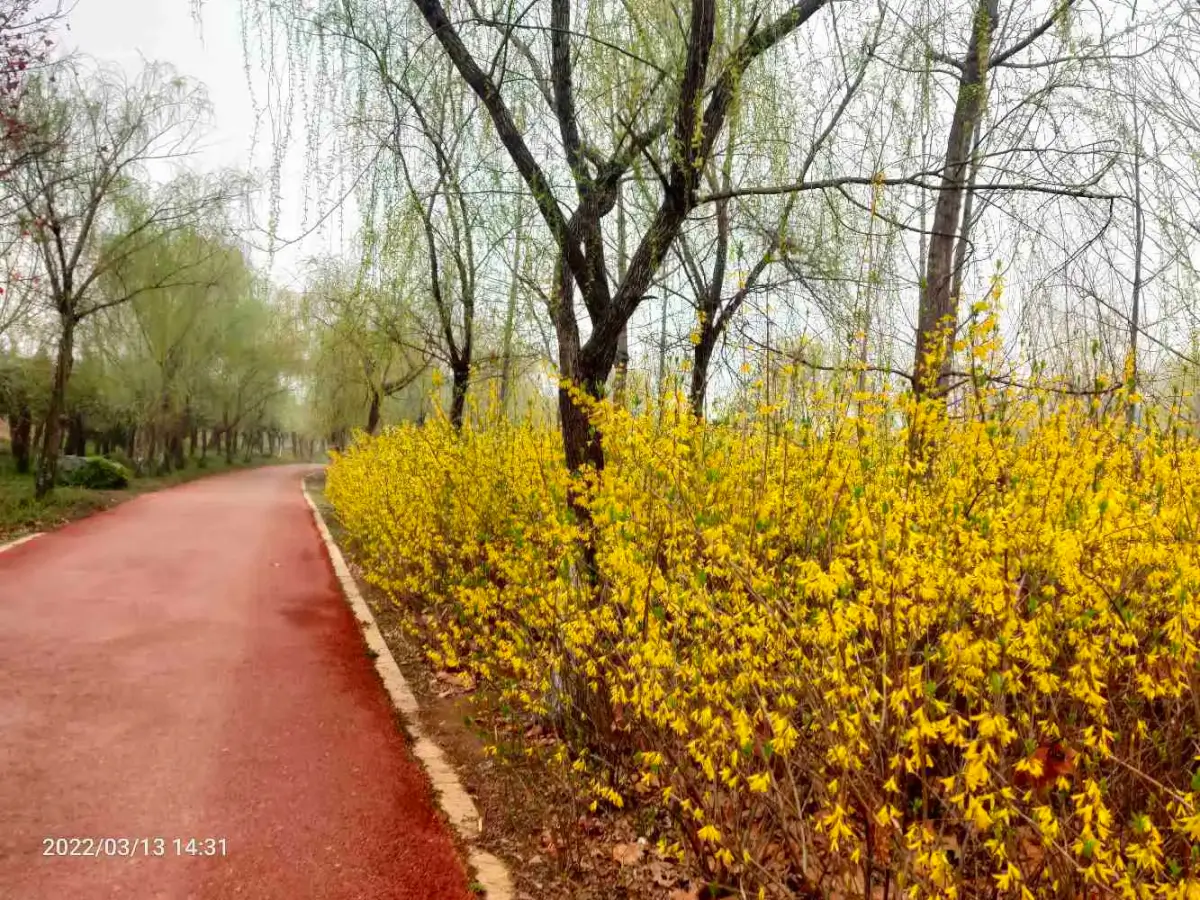 2022-03-13-14(去贴膜,奶奶回来了)